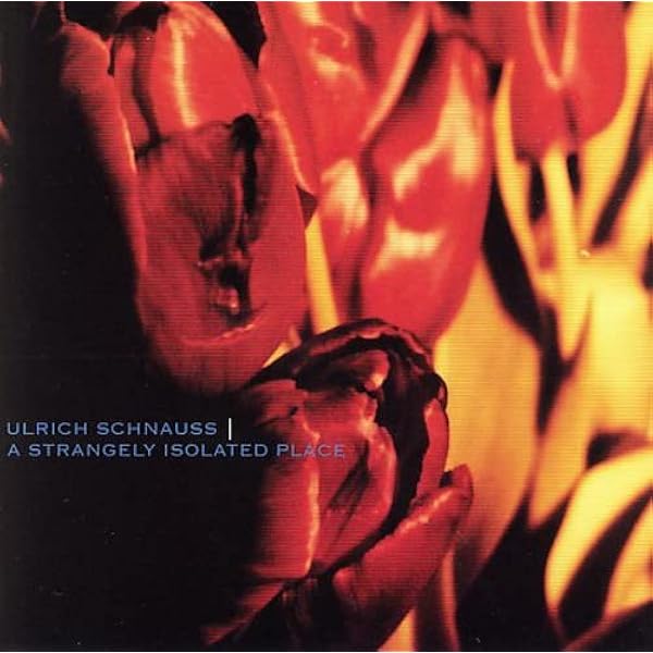 SCHNAUSS,ULRICH - Goodbye - Amazon.com Music